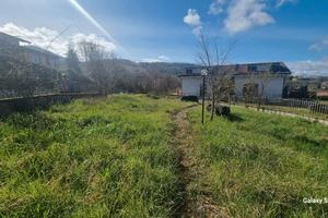 Terreno rustici