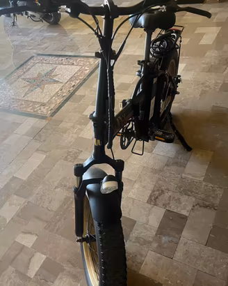 Bici elettrica