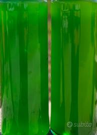 Fitoplancton Tetraselmis