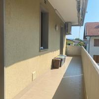 Pa154557MR appartamento 2 camere