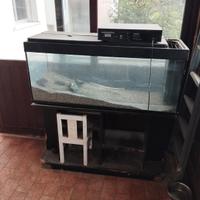 Acquario funzionante