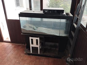 Acquario funzionante