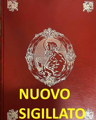 LIBRO D'ARTE - BELLEZZA E IDENTITA'. NUOVO!