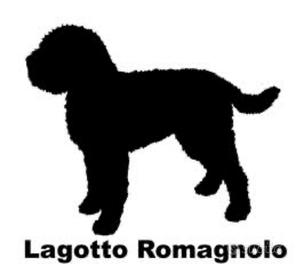 Cuccioli Lagotto Romagnolo