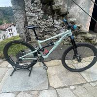 Specialized status S3