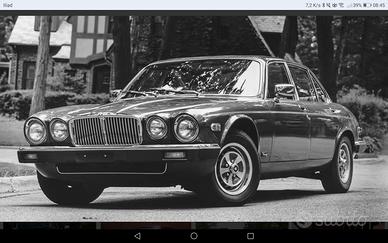 Jaguar ricambio 