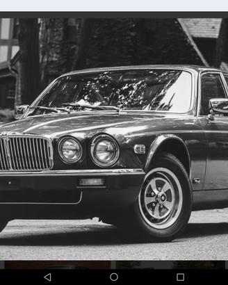 Jaguar ricambio 