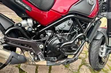 Benelli leoncino 500 naked