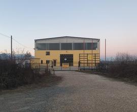 Airasca to fronte strada capannone 1000 mq