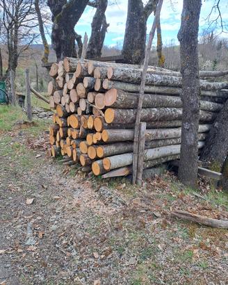 Pali di legno