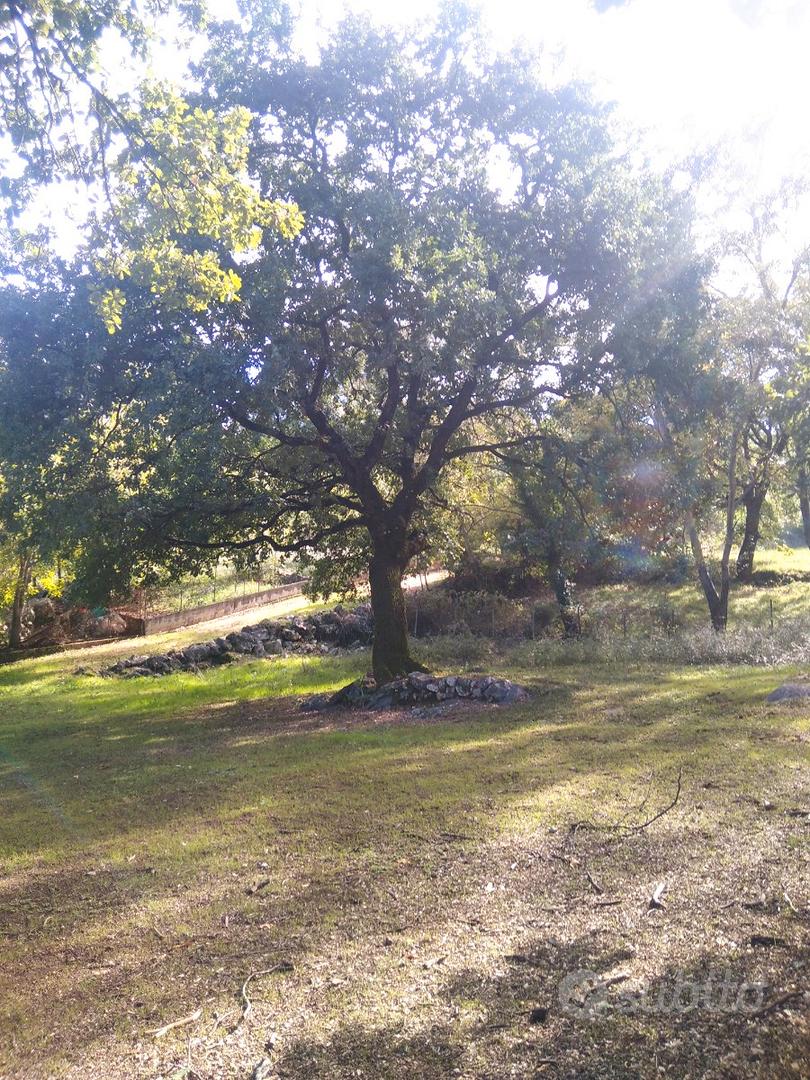 Terreno via colli - Altro