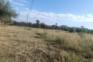Terreno agricolo nei pressi di villa buffa