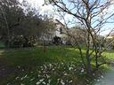 villa-di-200-m²-con-5-locali-a-vecchiano