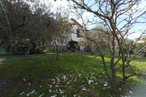 Villa di 200 m² con 5 locali a Vecchiano