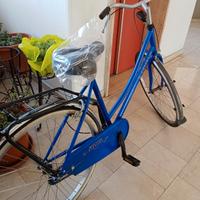 bicicletta da studente 