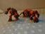 Immagine 3