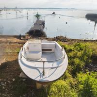 Barca da pesca 4.20mt