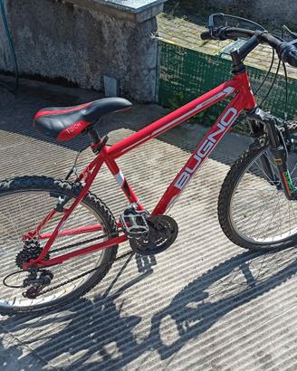 DUE bici ragazzo