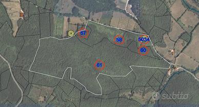 Terreno. Maiorano di Monte- Dragoni - localita Cas