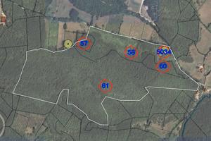 Terreno. Maiorano di Monte- Dragoni - localita Cas