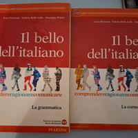 Il bello dell'italiano, la grammatica e la comunic