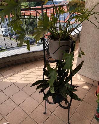 Supporto per piante in ferro battuto