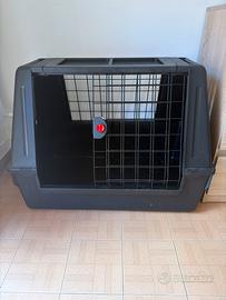 Kennel