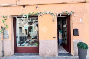 NEGOZIO A CASELLE TORINESE