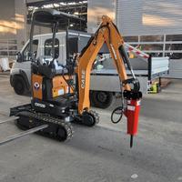 Noleggio mini escavatore + furgone ribaltabile