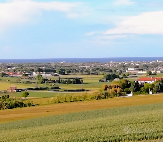 Terreno panoramicissimo agricolo