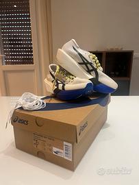 Asics metaspeed tokyo 39.5