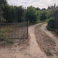 Terreno agricolo (15.000mq) con fabbricato