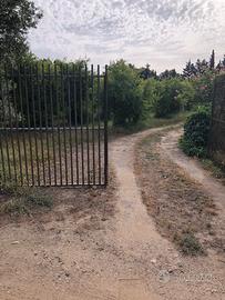 Terreno agricolo (15.000mq) con fabbricato