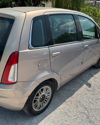 Lancia musa