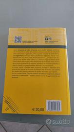 Compendio diritto del lavoro. Severino Riva.