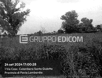 Terreno, Cava Manara.