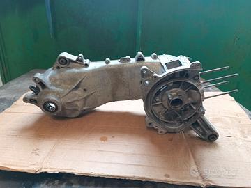 Carter Piaggio braccio lungo