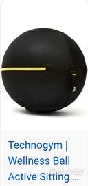 wellness ball active sitting technogym 