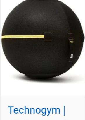 wellness ball active sitting technogym 