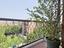 Immagine 27