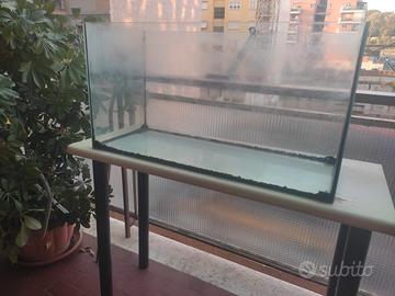 Acquario 100 litri
