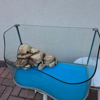 Tartarughiera in vetro