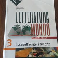 Letteratura mondo 3 ed. rossa
