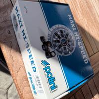 Variatore polini xmax xcity 250