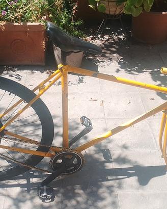 Bici scatto fisso fixed 