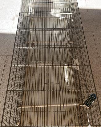 Gabbie 120cm •40 per canarini
