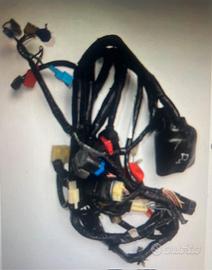 Impianto elettrico Honda CBR 600 F4 '99