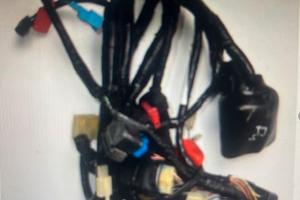 Impianto elettrico Honda CBR 600 F4 '99