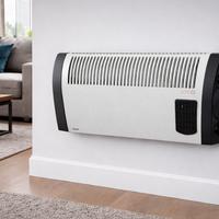 termosifone elettrico da parete 