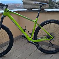 mtb Focus Raven L carbonio